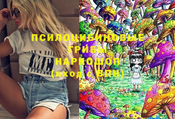 mdpv Новозыбков