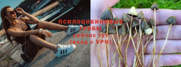 гашик Балабаново