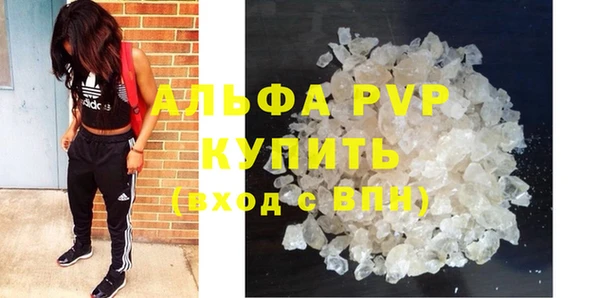 ешки Новодвинск